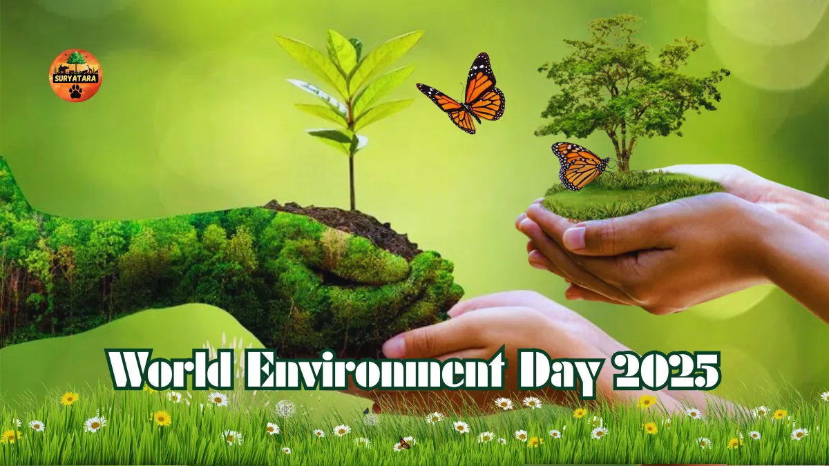 World Environment Day Activities 2025